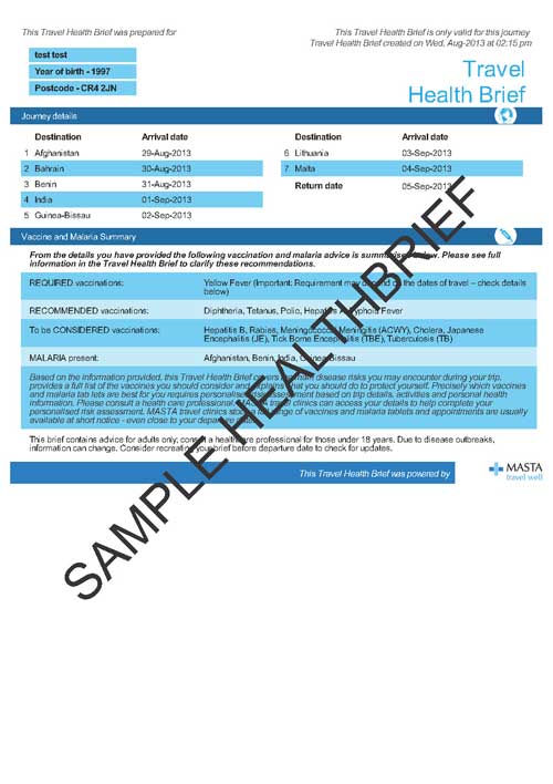Health Brief Sample Page 1