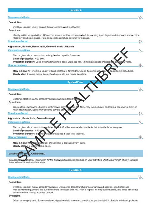 Health Brief Sample Page 4