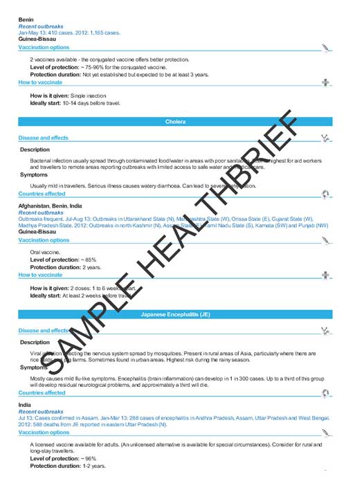 Health Brief Sample Page 6