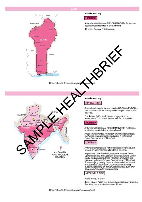 Health Brief Sample Page 9