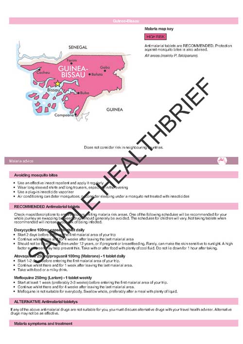 Health Brief Sample Page 10