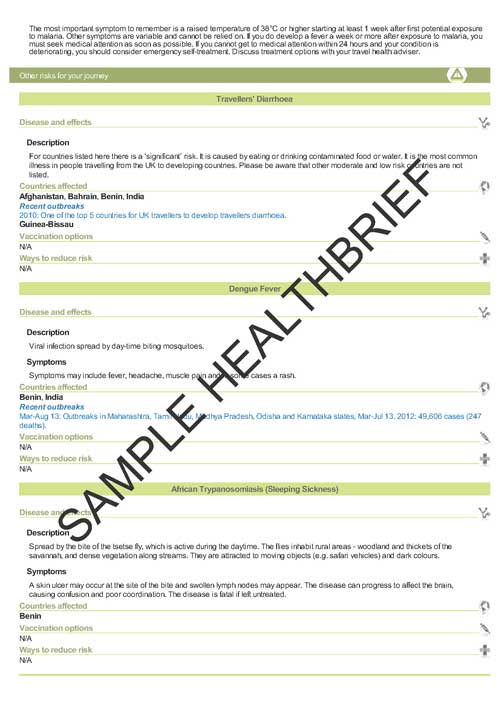 Health Brief Sample Page 11