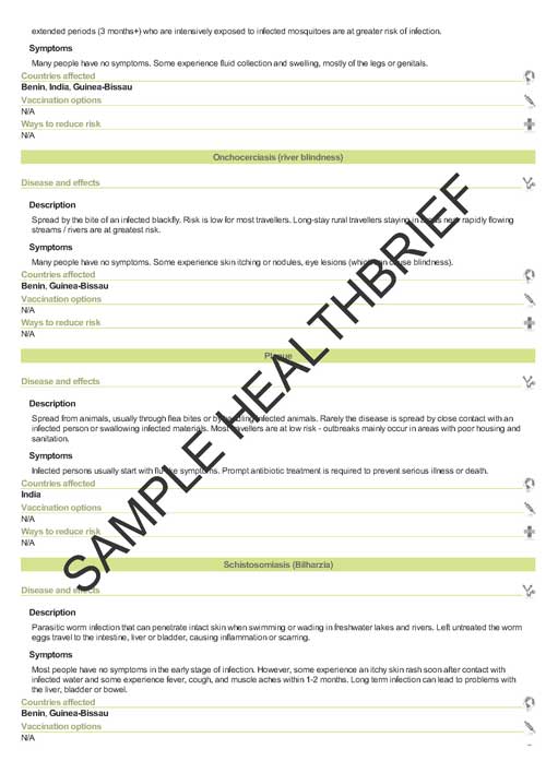 Health Brief Sample Page 13