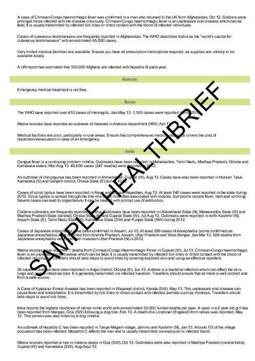 Health Brief Sample Page 15