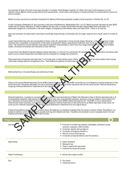 Health Brief Sample Page 16