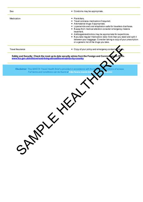Health Brief Sample Page 17